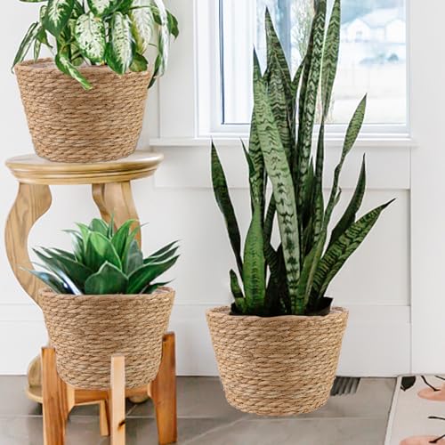 4 Pcs Large Premium Seagrass Planter Basket with Plastic Lining Natural Stylish Planter Baskets Indoor Outdoor Plants Woven Wicker Baskets for Plants Flower Pots Cover and Room Decor (4 Count)