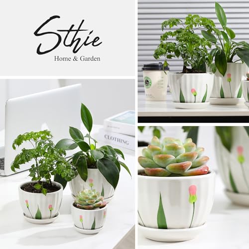 Ceramic Plant Pots with Saucers (3 Count)