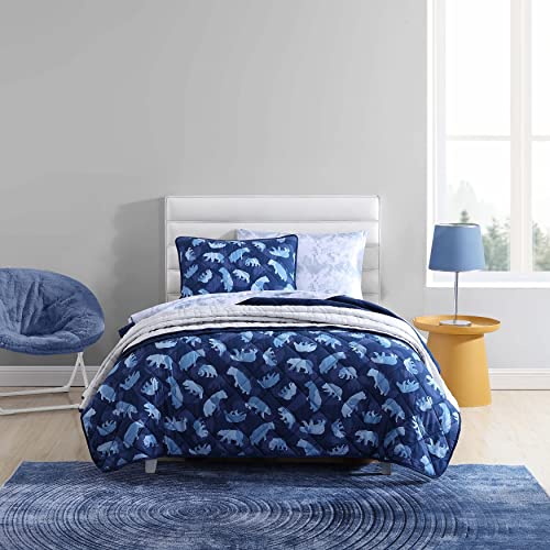 Queen Quilt Set