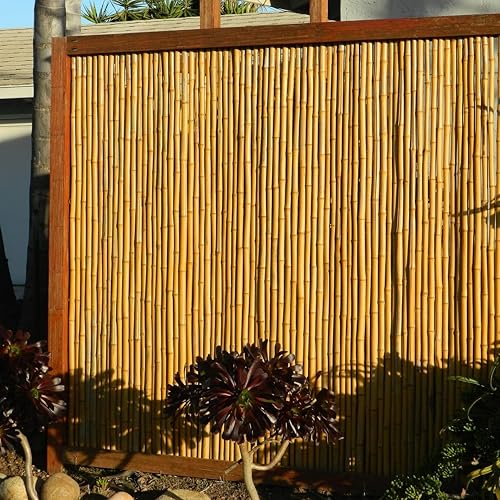 Natural Bamboo Fencing Decorative Rolled Fence Panel 1 in D x 2 ft H x 8 ft L