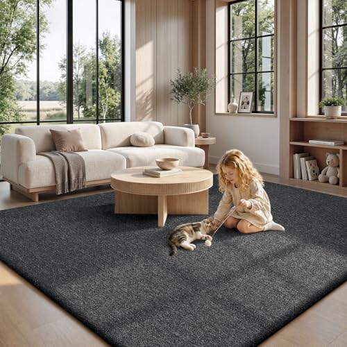 Area Rugs 9x12 for Living Room Bedroom (108 Sq Ft)