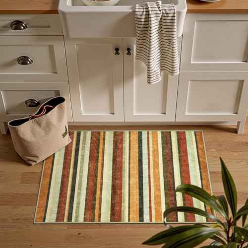 2x3 Striped Rug for Entryway Washable Kitchen Rug (6 Sq Ft)