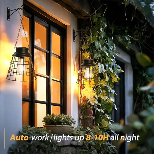 2 Pack Hanging Solar Lights Outdoor Lanterns Waterproof Black Metal (2 Count)