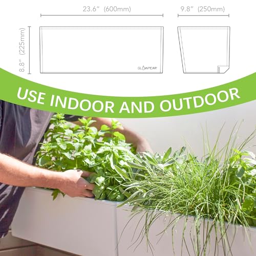 Self Watering Planter Box