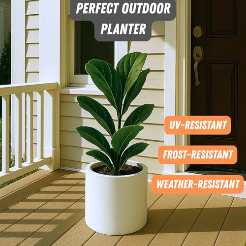 Large Planter for Indoor or Outdoor