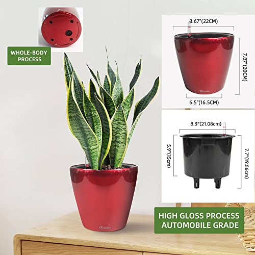 9x8 Self Watering Planter