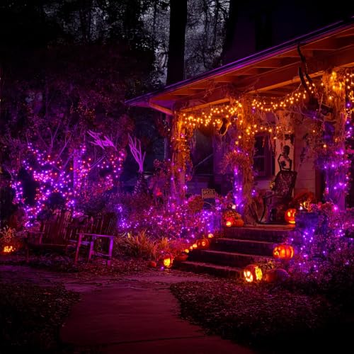 Halloween String Lights