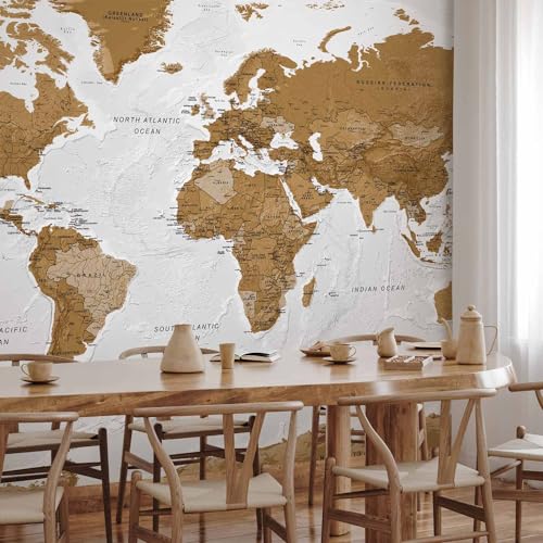Wall Mural World Map 197x110 in