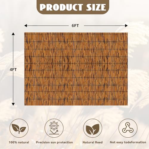 Natural Reed Fencing Rolls
