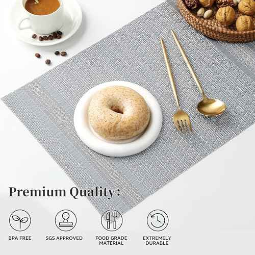Lunar Grey Placemats Set of 12 (12 Count)