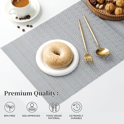 Lunar Grey Placemats Set of 8 (8 Count)