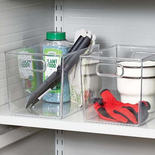 Large Clear Plastic Storage Bin