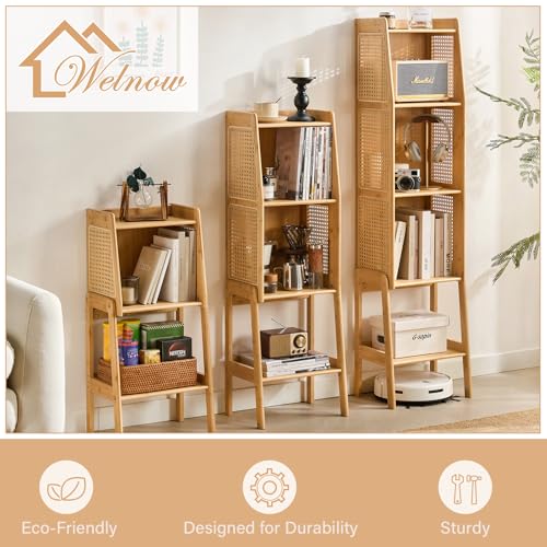 Bamboo Rattan Bookcase with Cabinet
