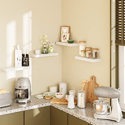 Floating Shelves (2 Count)