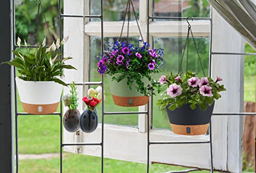 2 Pack Hanging Planters