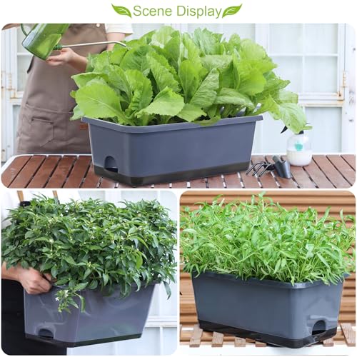 Window Box Planter 8 Pcs (8 Count)