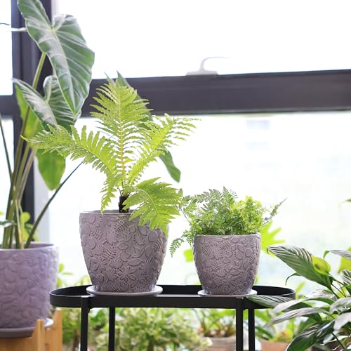 8 Inch + 6 Inch Retro Ceramic Planter Set of 2 with Drainage Hole and Saucer for Multiple Plants (2 Count)