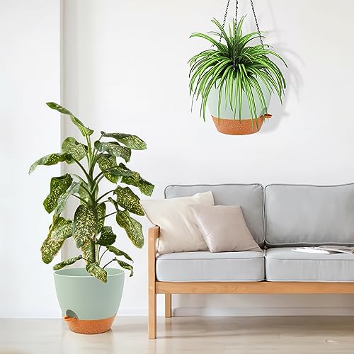 12 Inch Self Watering Hanging Planter