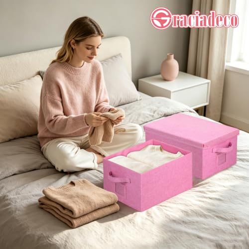 Storage Bins With Lids Closet Organizer Cabinet Box For Clothes (2 Count)