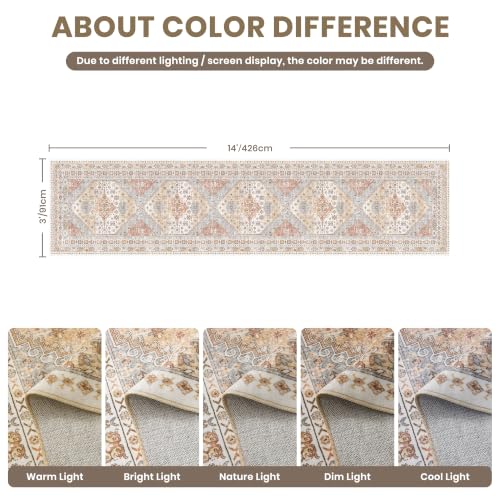 3x14 Runner Rug Non Slip (42 Sq Ft)