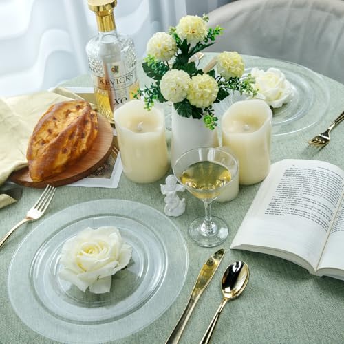 60PCS Clear Plastic Plates (60 Count)
