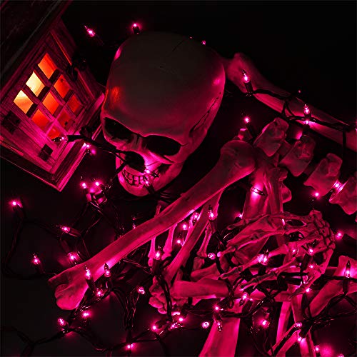 Purple Halloween Lights (21.3 Foot)
