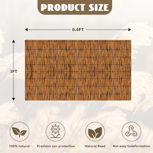 Bamboo Reed Fencing