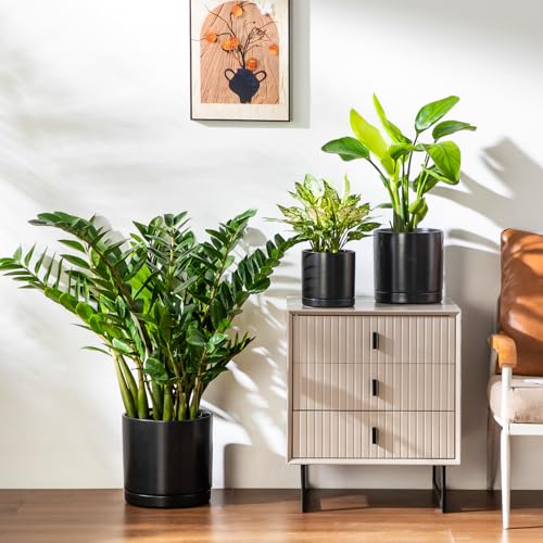 Ceramic Planters (3 Count)