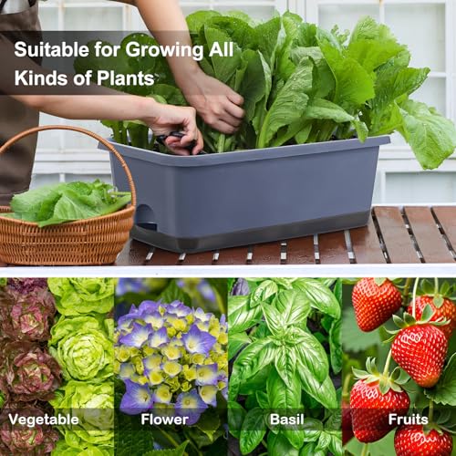 Window Box Planter 8 Pcs (8 Count)