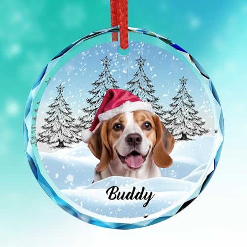 Personalized Pet Memorial Gift 2025 Custom Photo Crystal Christmas Ornament in Loving Memory of Dog