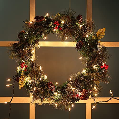 Clear Christmas Lights (25 Foot)