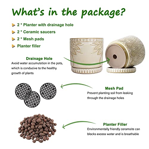 6 Inch Indoor Plant Pots with Drainage Holes and Saucers (2 Count)