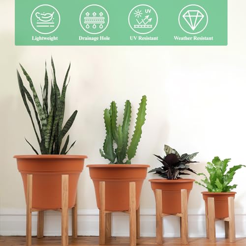 6 Inch Plastic (6 Count)