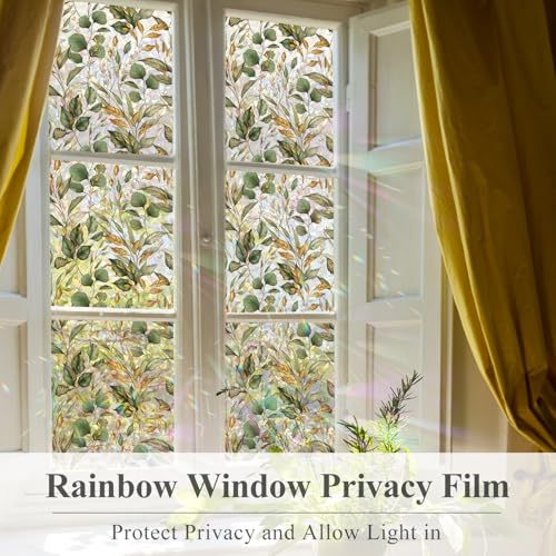 Rainbow Window Privacy Film with Tools (2080 sq inch)