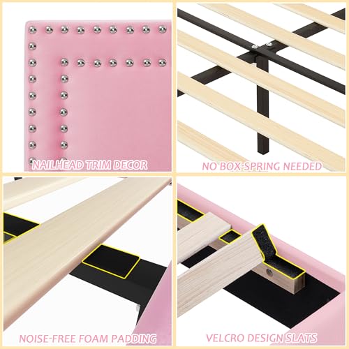 Queen Size Bed Frame with Adjustable Upholstered Headboard