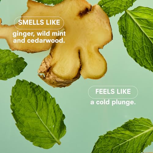 Mint Candle 8.5 oz Fancy Candle with Ginger (8.5 Ounce)