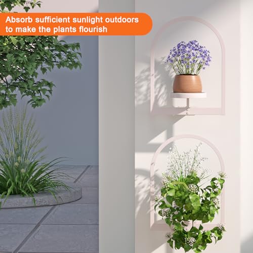 Wall Plant Holder (3 Count)