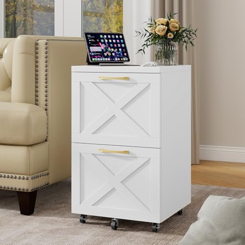 Farmhouse File Cabinet with 2 Drawers