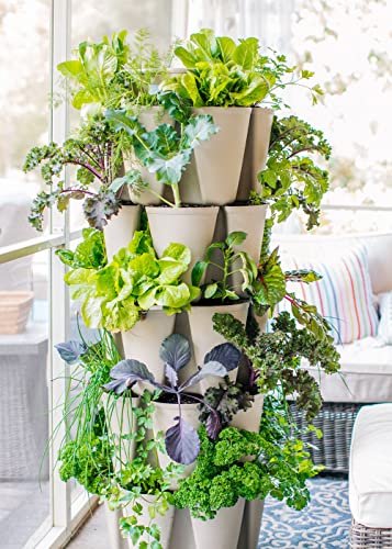 Patented Large 5 Tier Vertical Garden Planter with Patented Internal Watering System Great for Growing a Variety of Strawberries