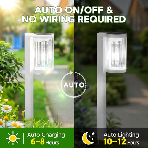 Solar Pathway Lights Outdoor (6 Count)