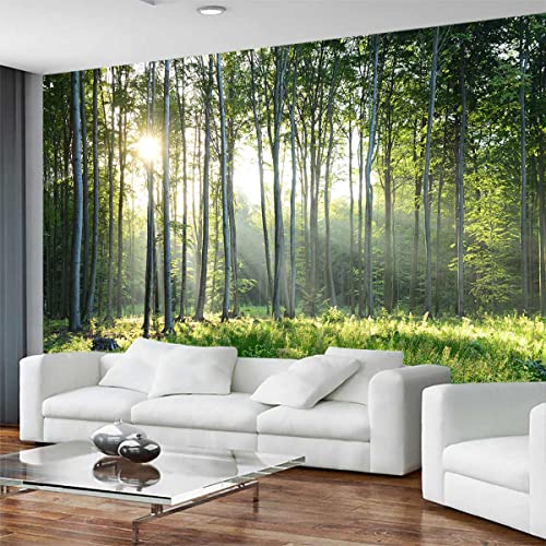 Sunshine Forest Mural Wallpaper Landscape Tree (56.25 Sq Ft)
