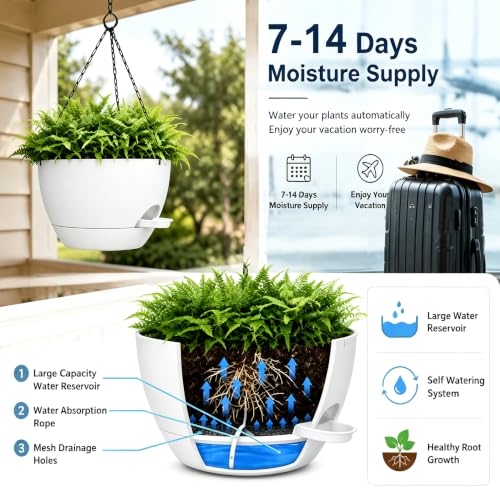 12" Self Watering Hanging Planters with Chains (2 Count)