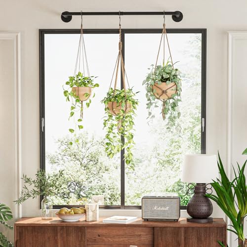 Plant Hanger Indoor Hanging Planters for Indoor Plants Hanging Plant Holder Black Metal Rod