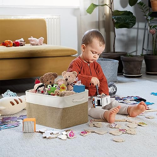Organization and Storage Basket for Organizing (3 Count)