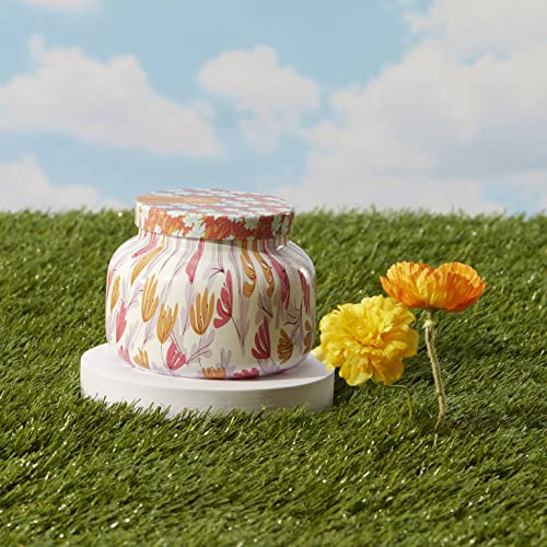 Scented Candles (19 Ounce)