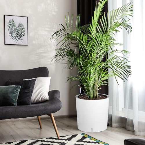 Tall Round Planter Set of 2 (2 Count)