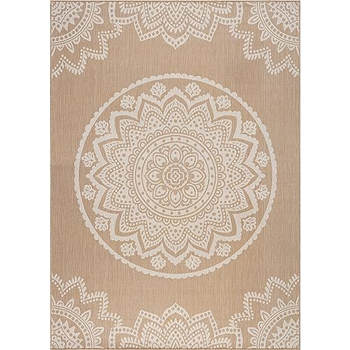 Outdoor Rug 8x10 Modern Area Rugs for Indoor and Outdoor Patios and Porches