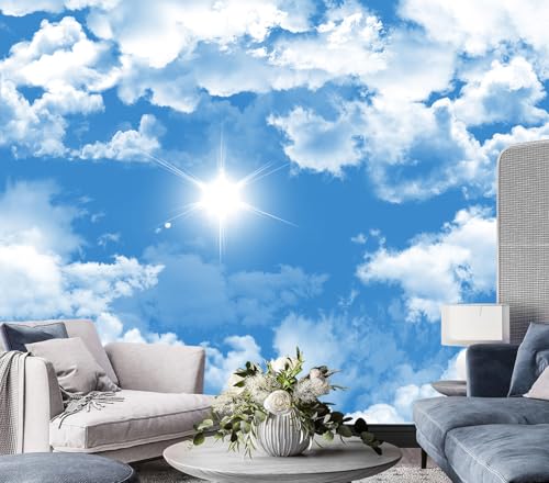 Ceiling Mural Blue Sky White Clouds Wallpaper for Living Room 159"x107"