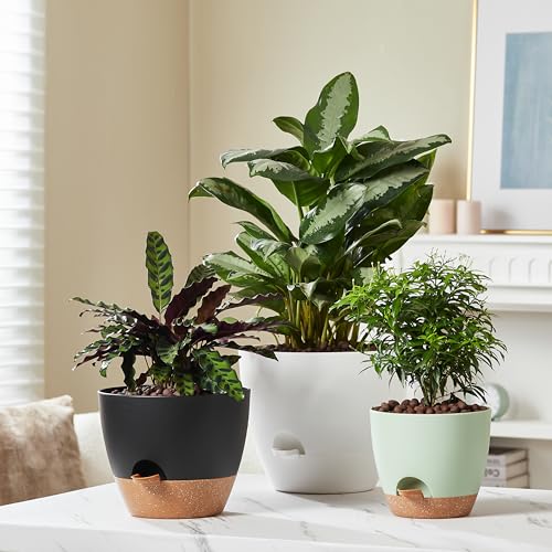 3 Pack Planter Pots (3 Count)