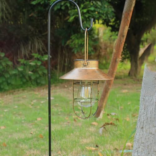 2 Pack Solar Lanterns (2 Count)